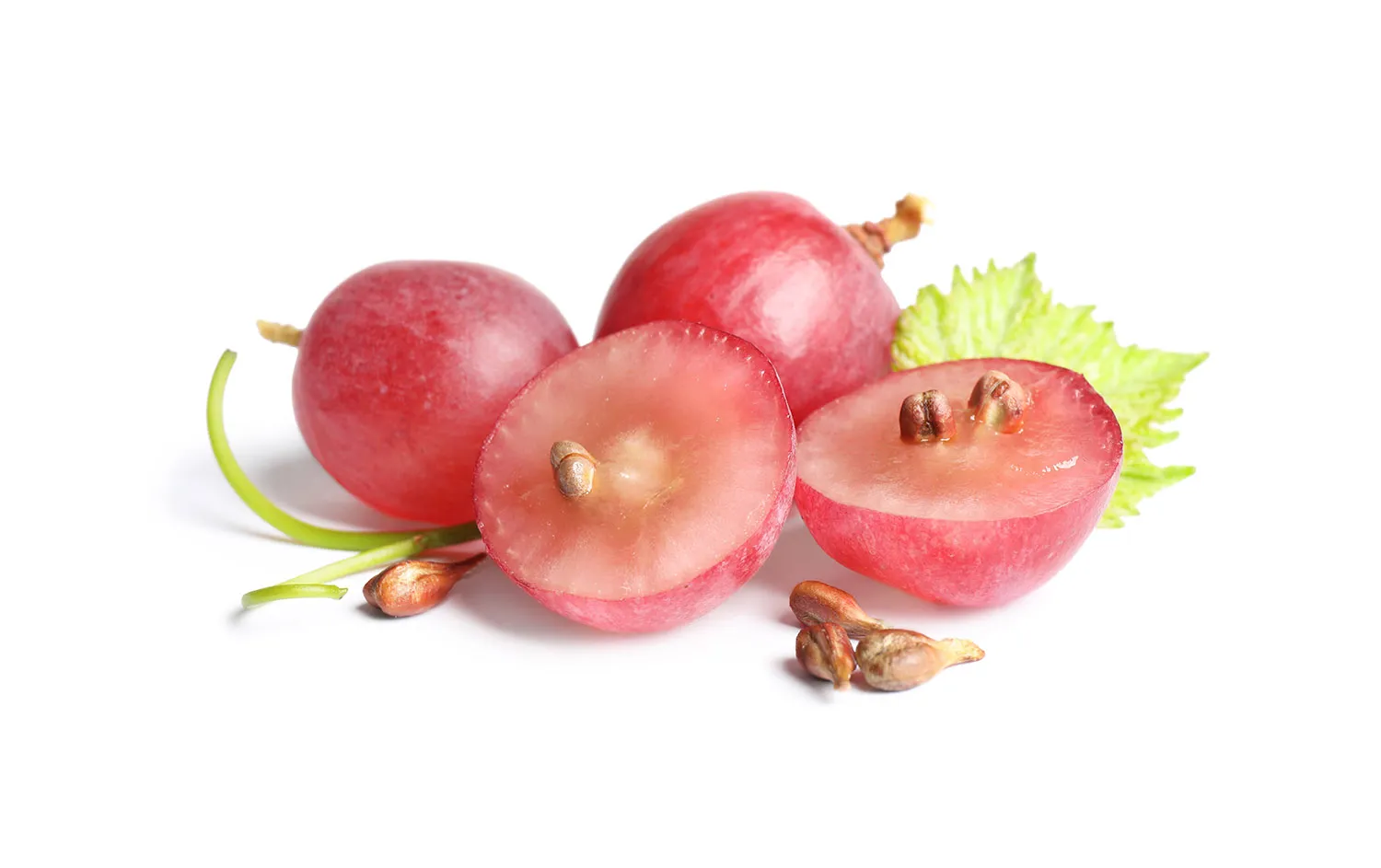 Grape-Seed