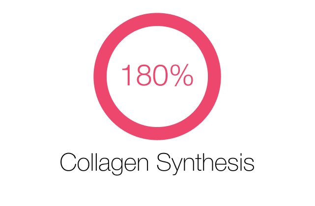 imgi_125_Collagen-Synthesis